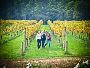 922966_455751107835786_1925772646_n