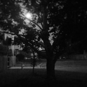 nighttime horizons ... what better moment to stop ... and stare ....